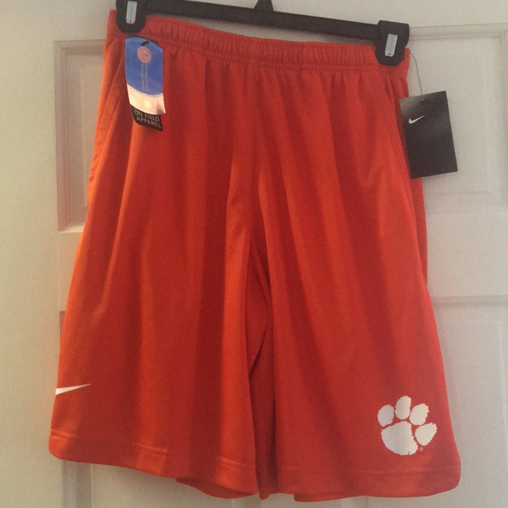 Nike Athletic shorts